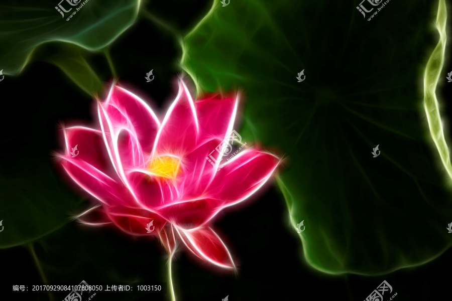 荷花抽象畫,裝飾畫