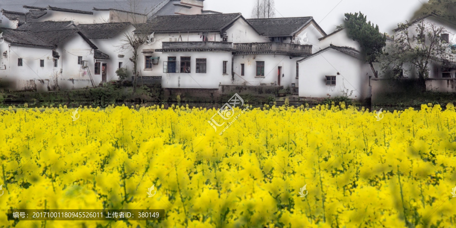 诸葛八卦村