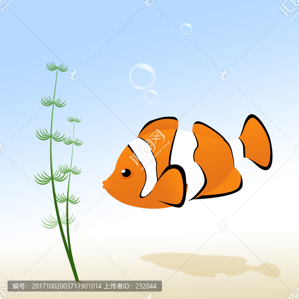 觀賞魚