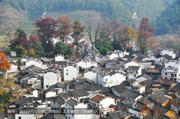 婺源石城红叶