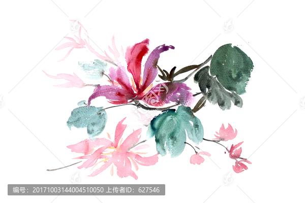 插畫(huà)盛開(kāi)的花朵