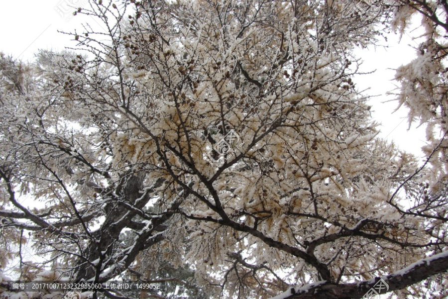 大兴安岭冰雪世界