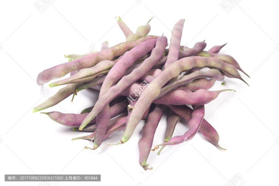 紫色四季豆