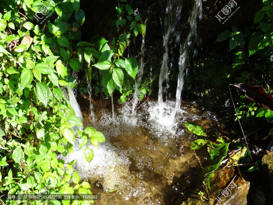 小溪,溪流,山谷,溪水,流水