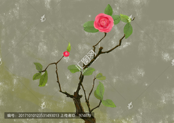 花卉插畫(huà)
