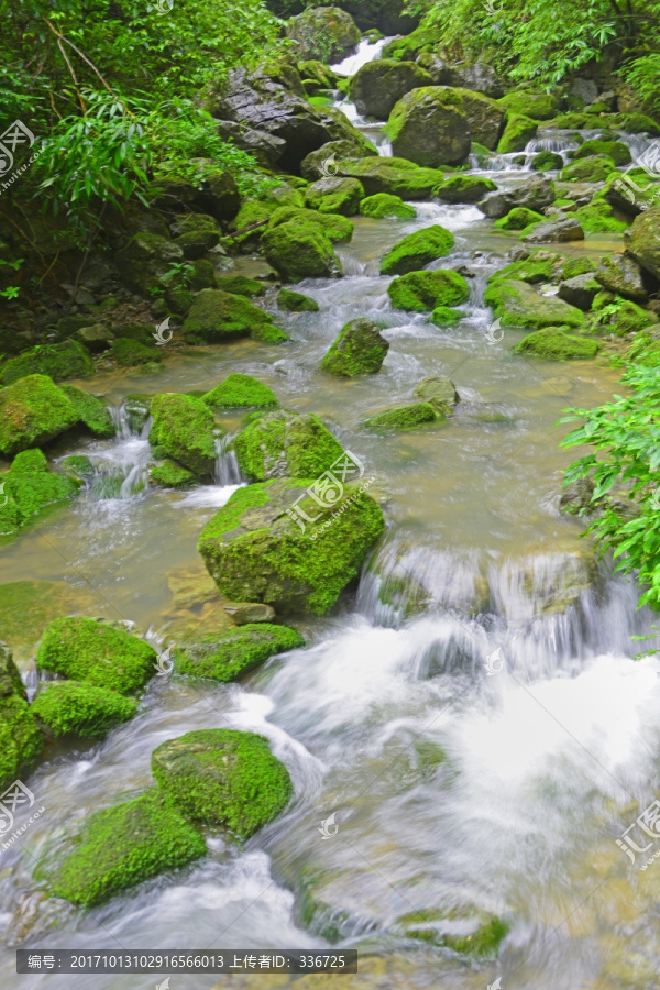 清澈山溪,涓涓流水,山涧清流