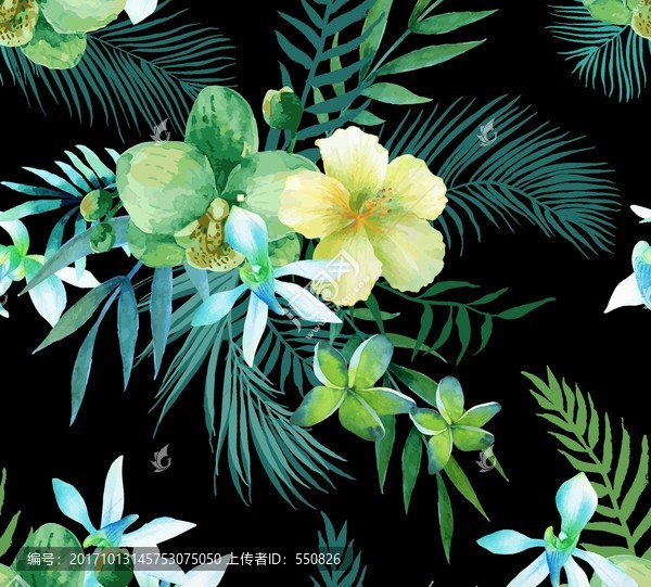 熱帶花卉