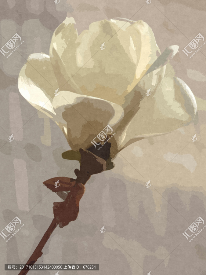 白色玉蘭花油畫