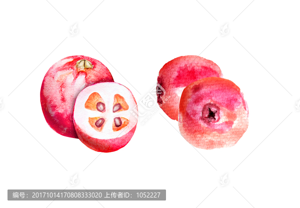 水彩蔓越莓