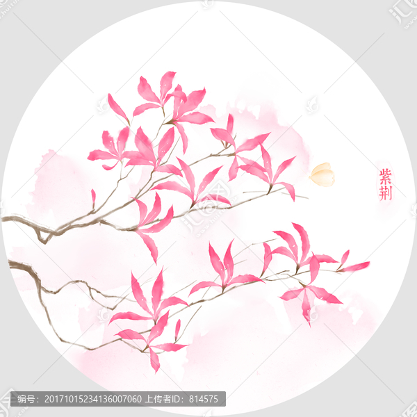 水彩紫荊花