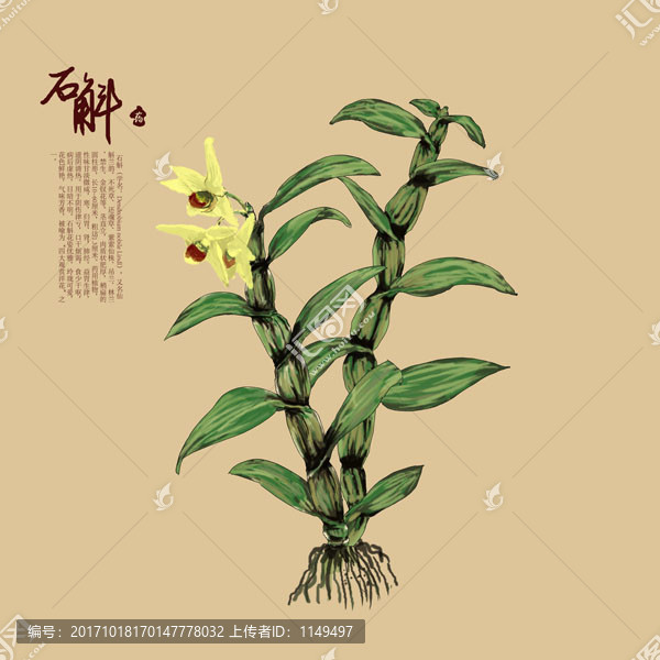 石斛