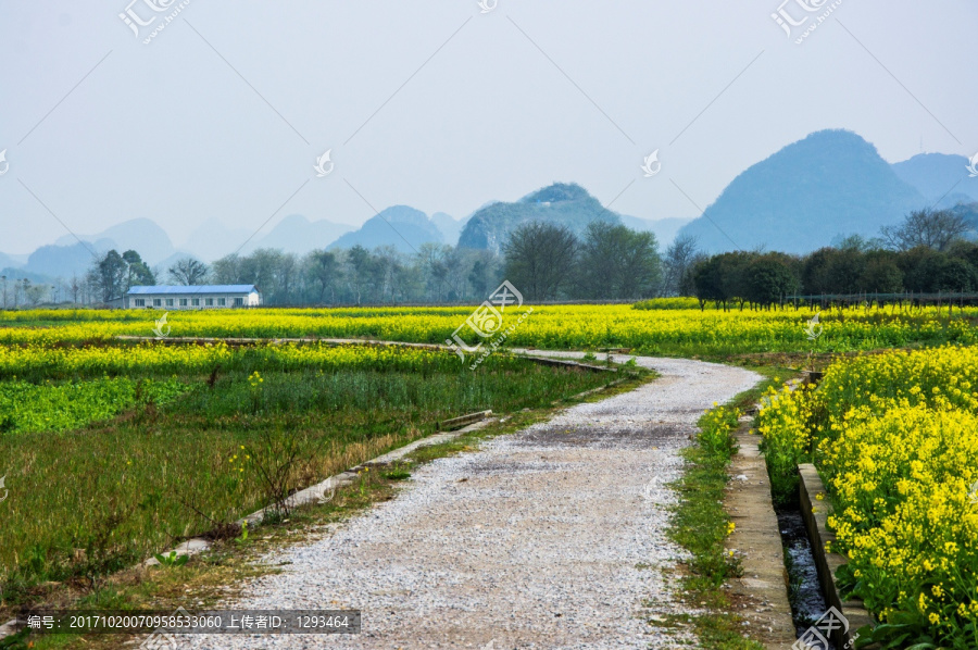 乡村小路