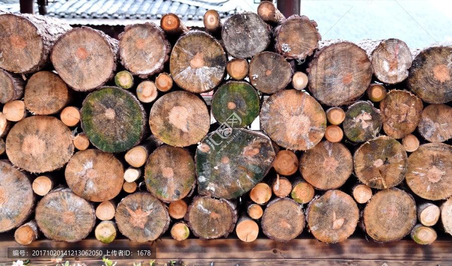 木板,木头,木材,木
