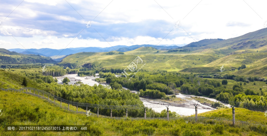 新疆旅游,高原草原,森林植被