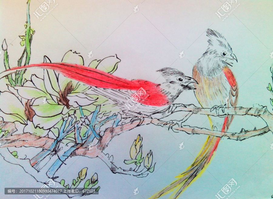 彩鉛擬水墨花鳥