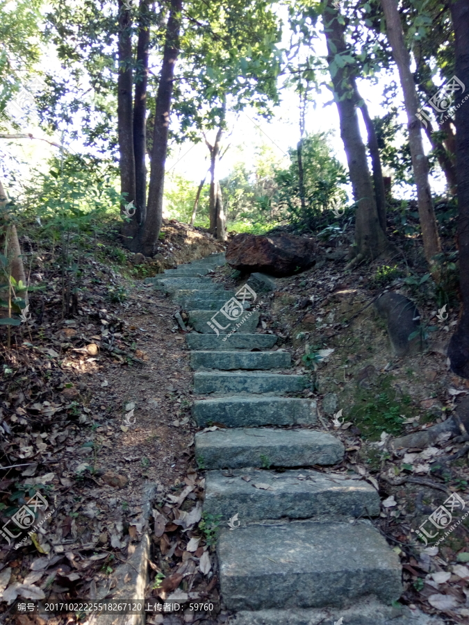 登山台阶