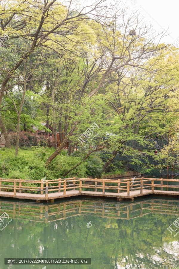 中山植物园园林曲桥