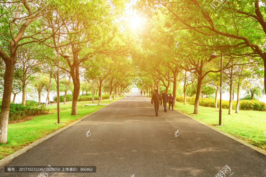 阳光道路