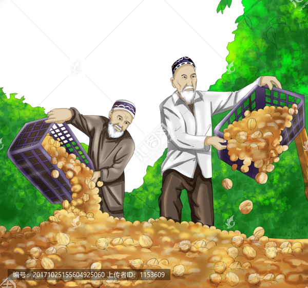 新疆風(fēng)情核桃豐收
