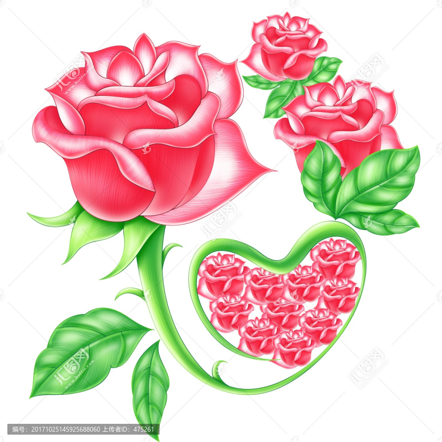玫瑰花與葉