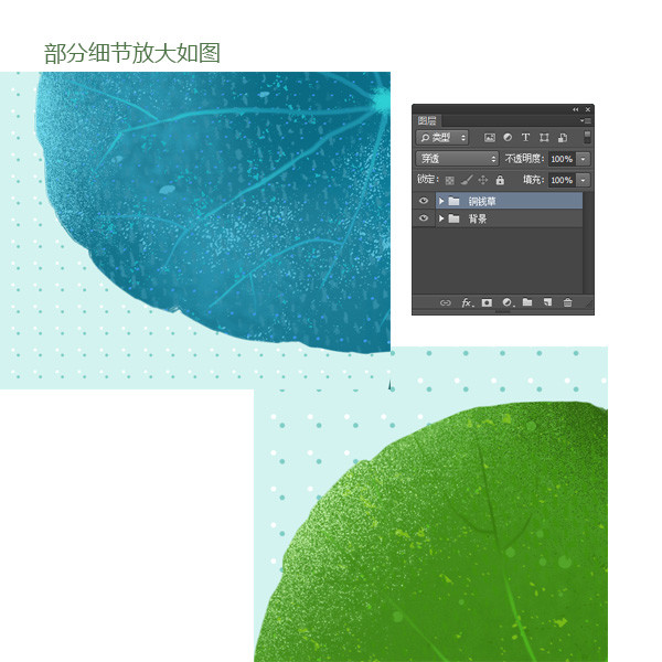 銅錢草無框裝飾畫