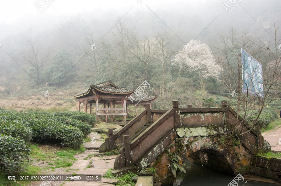 蒙顶山