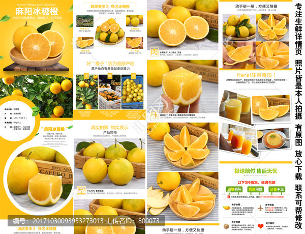 冰糖橙2
