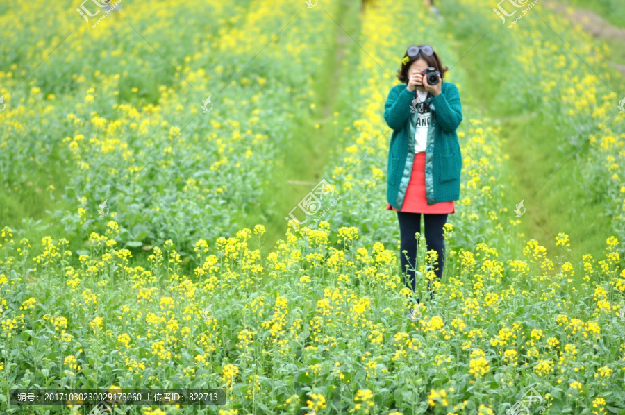 拍油菜花的美女