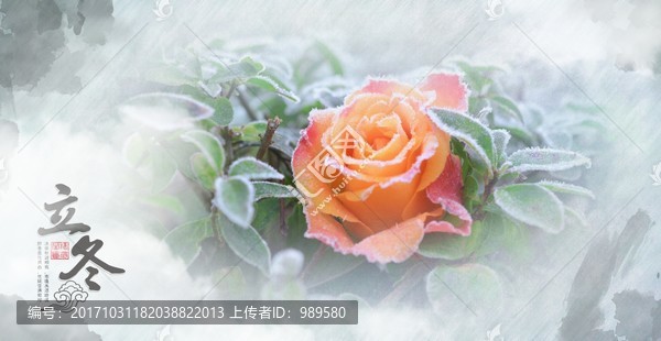 立冬