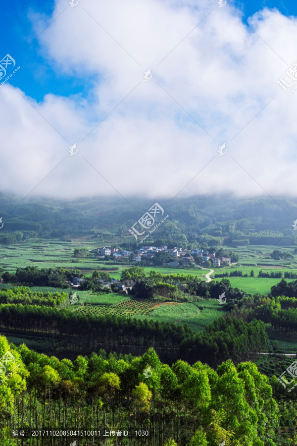 风景,乡村风景