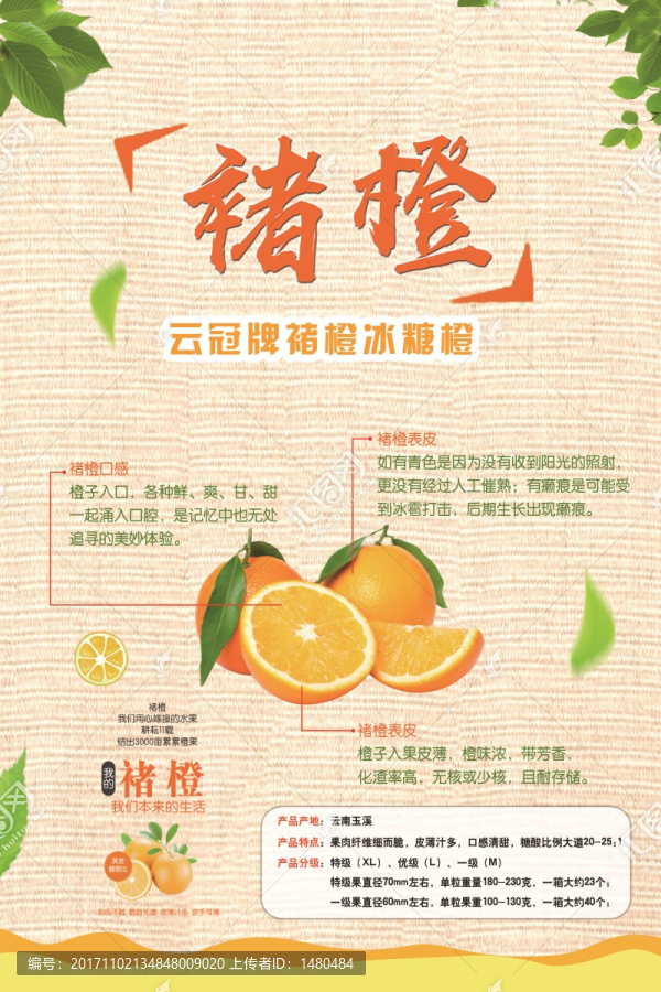 果叔海報褚橙
