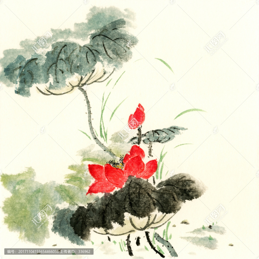 國(guó)畫荷花