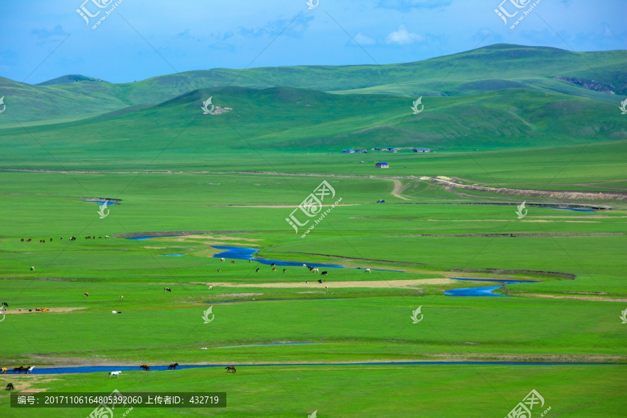 湿地草原河流马群