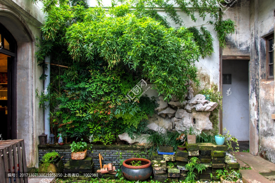 中式民居庭院绿植竹林