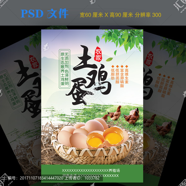 農(nóng)家土雞蛋海報(bào)展板