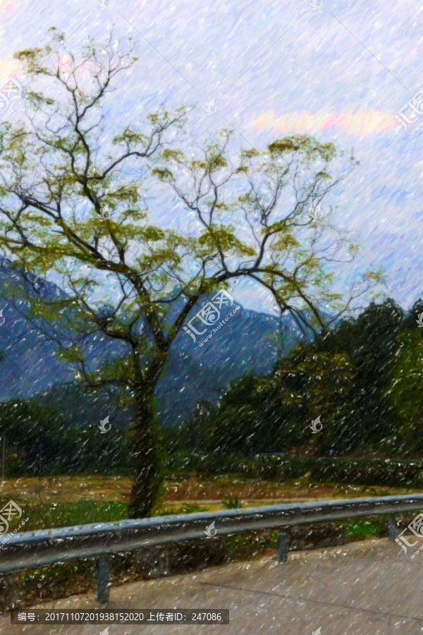 風(fēng)景畫(huà),一棵樹(shù)