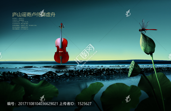 琴與海