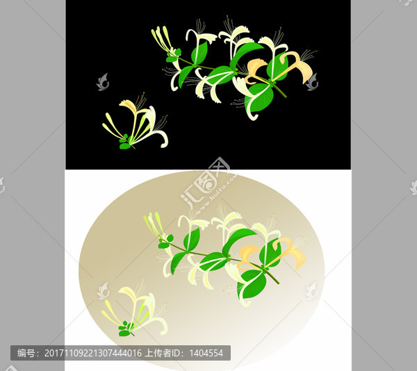 金銀花