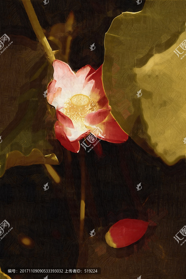 荷花,油畫
