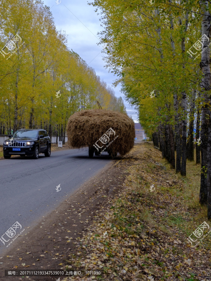 秋日公路