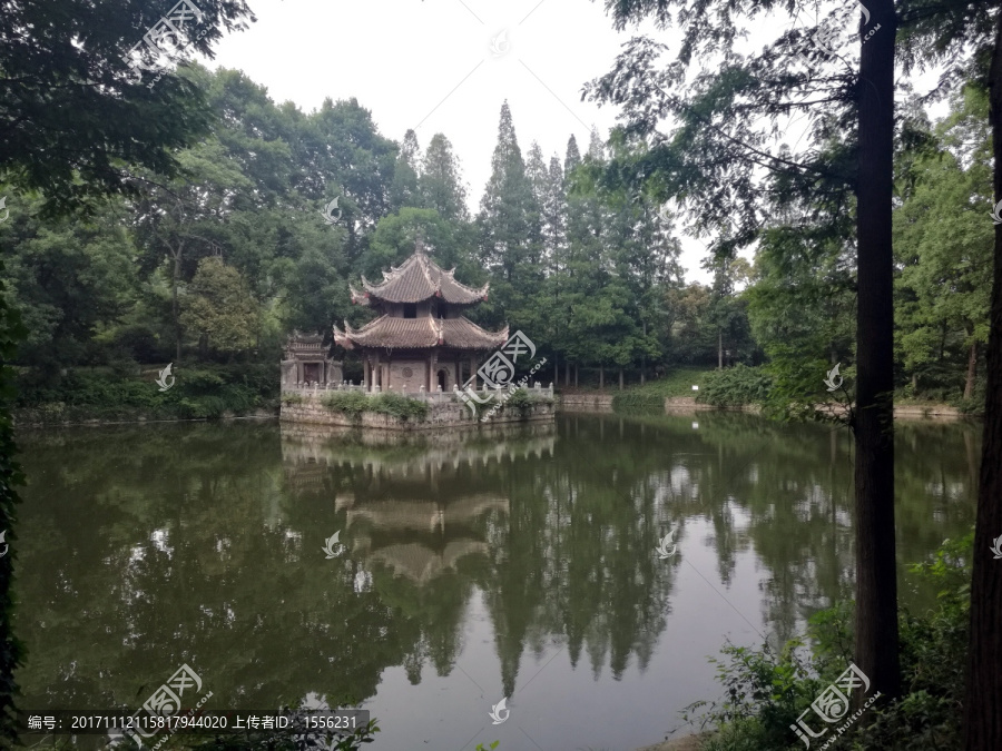 习家池风景