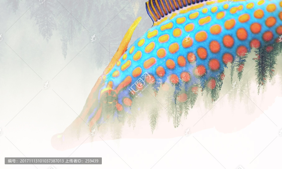 雙重曝光七彩魚