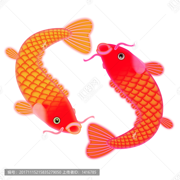 魚