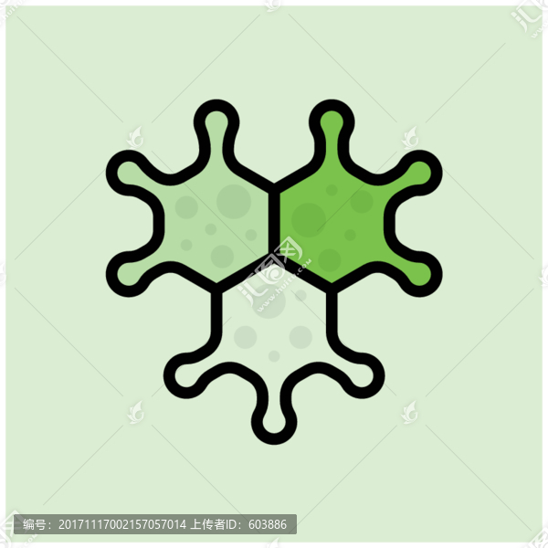 分子