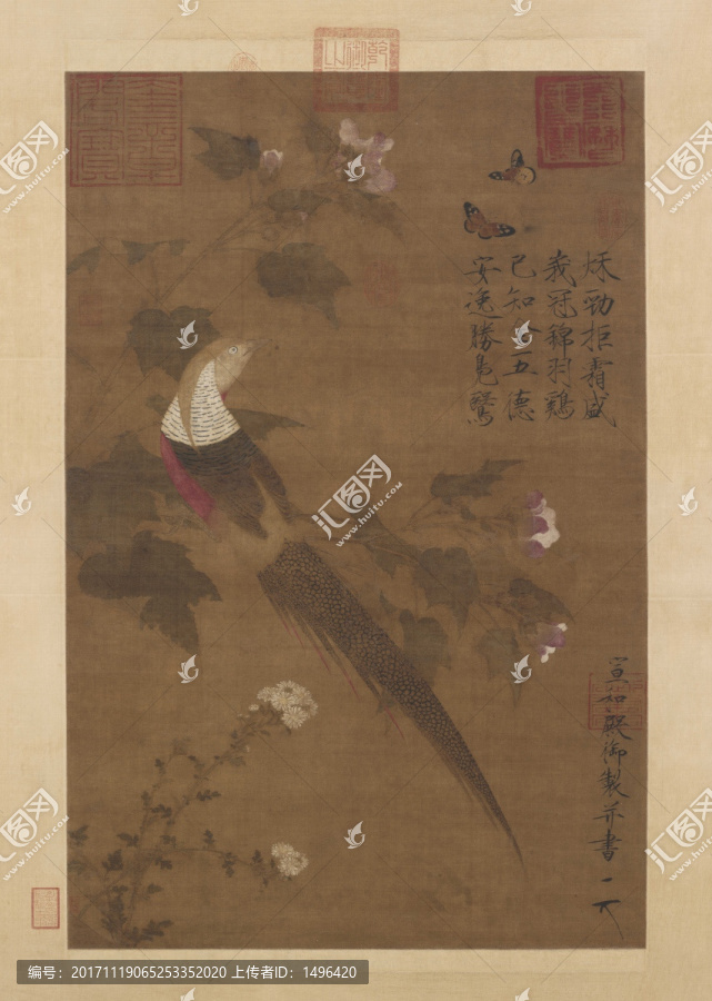 芙蓉錦雞圖