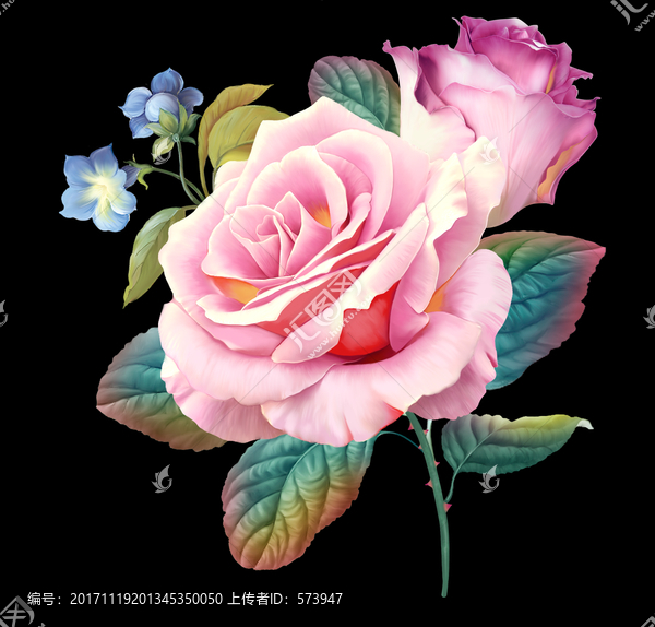 玫瑰花