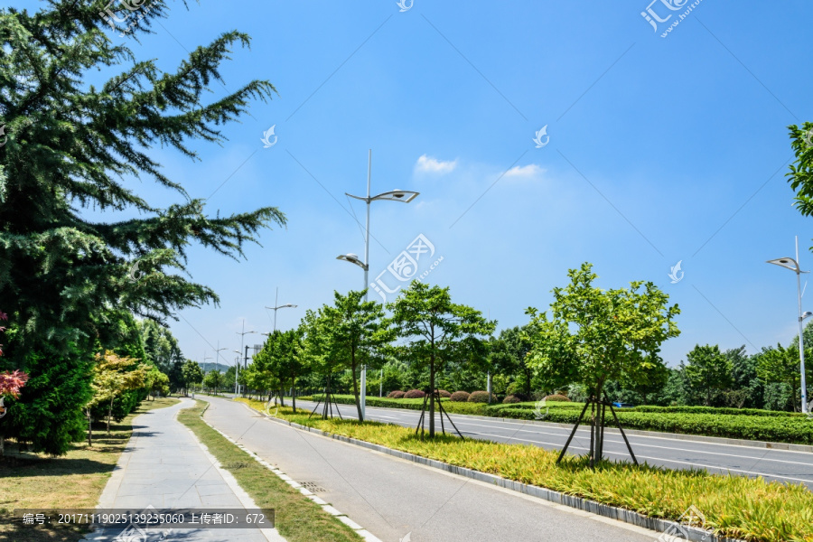 城区道路