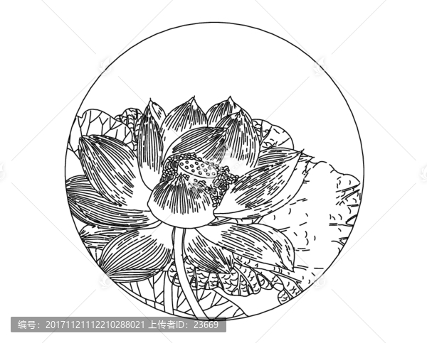 荷花芙蓉矢量白描線稿裝飾雕刻