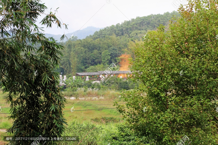 海南农村风光