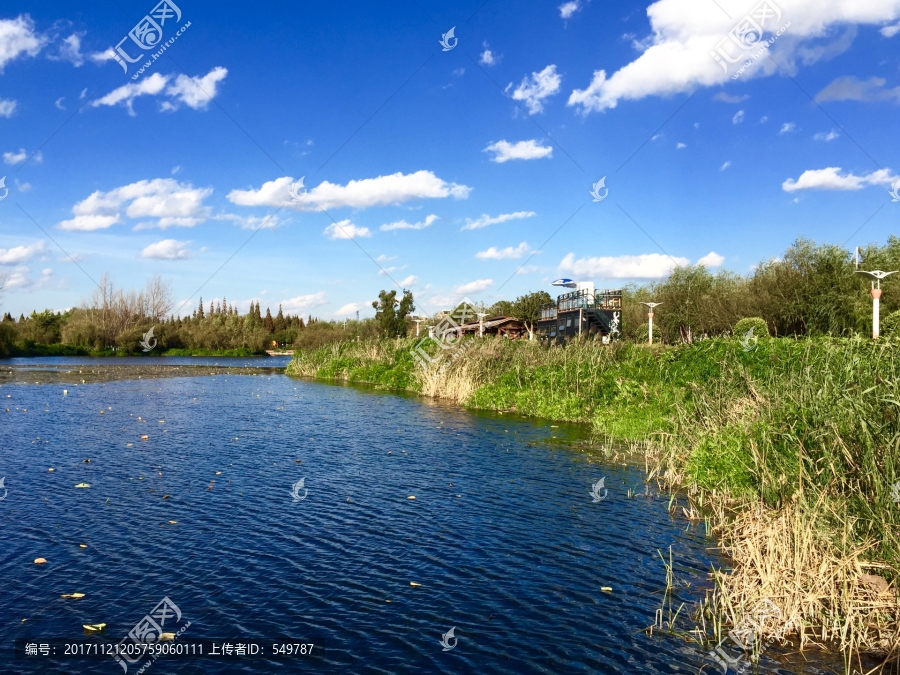 滇池湿地